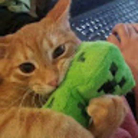 Meet your Posher, Summer - Picture 1 of 1